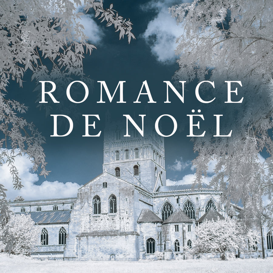 Romance de Noël (Noëls au château), ebooks