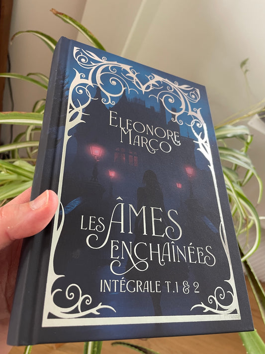 Les âmes enchaînées tomes 1 & 2 (édition reliée argentée et jaspée)