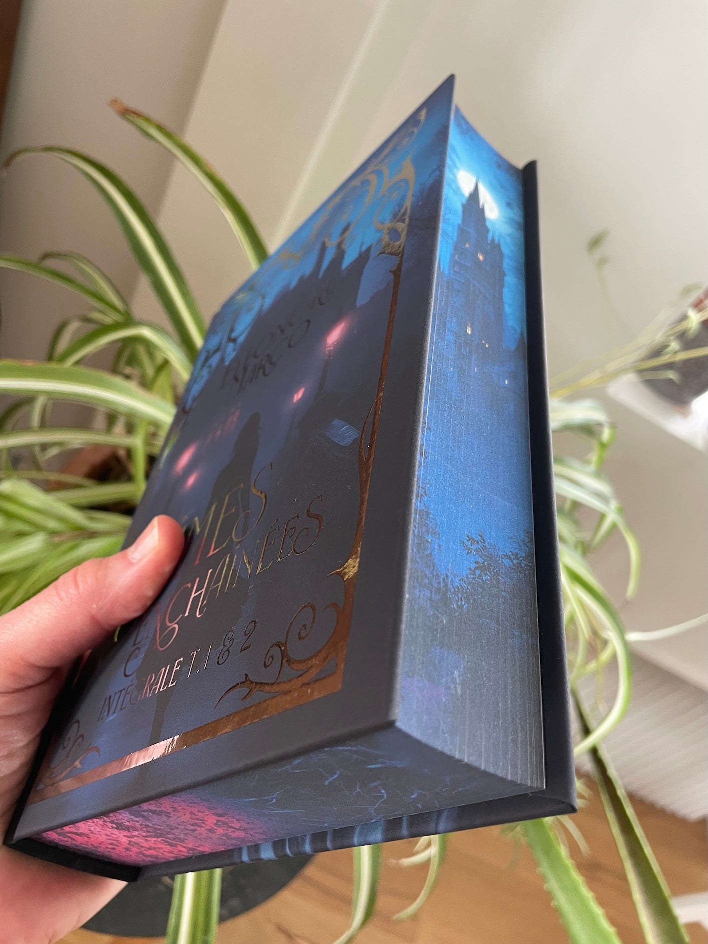 Les âmes enchaînées tomes 1 & 2 (édition reliée argentée et jaspée)