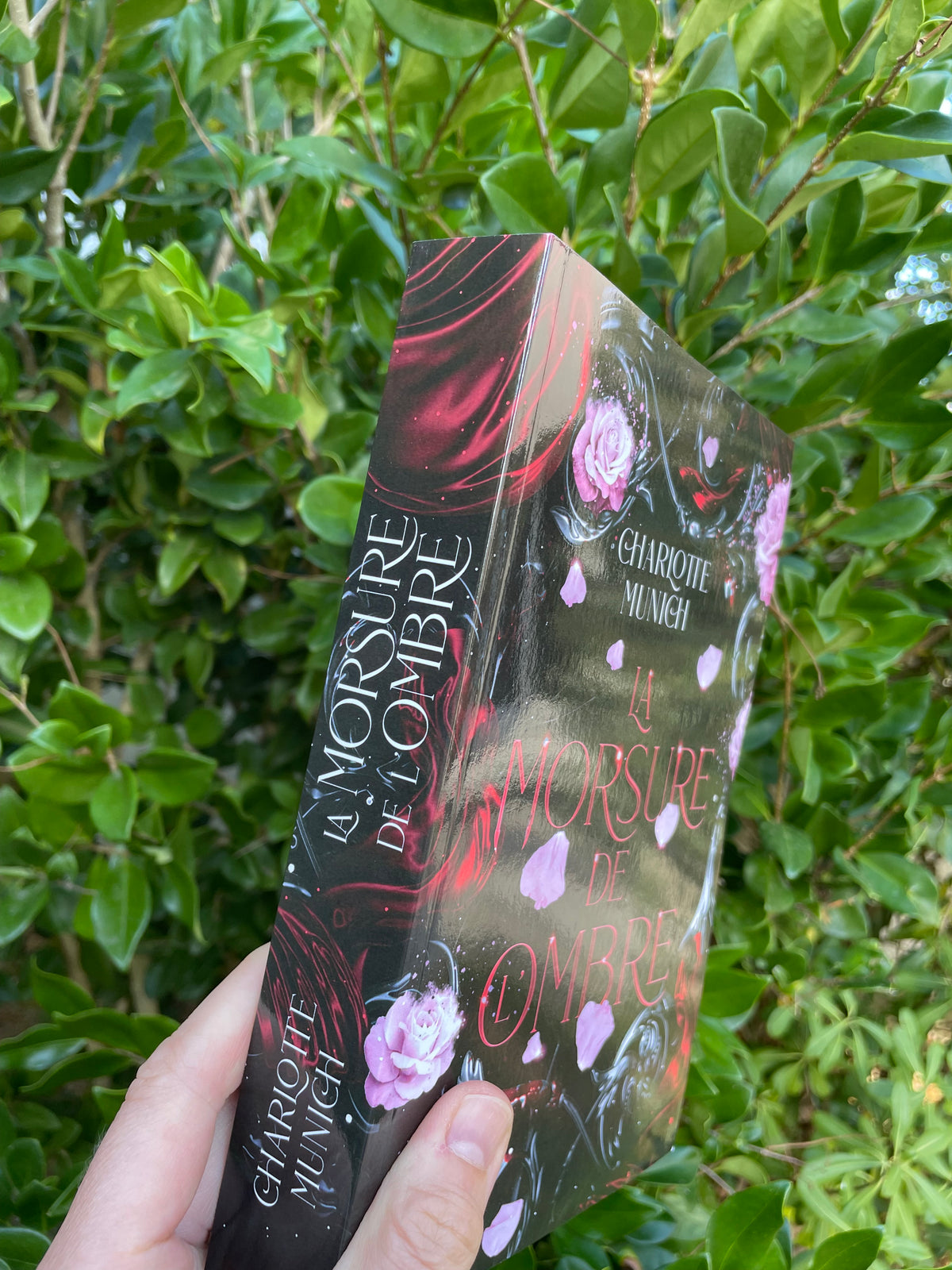 La morsure de l'Ombre, broché