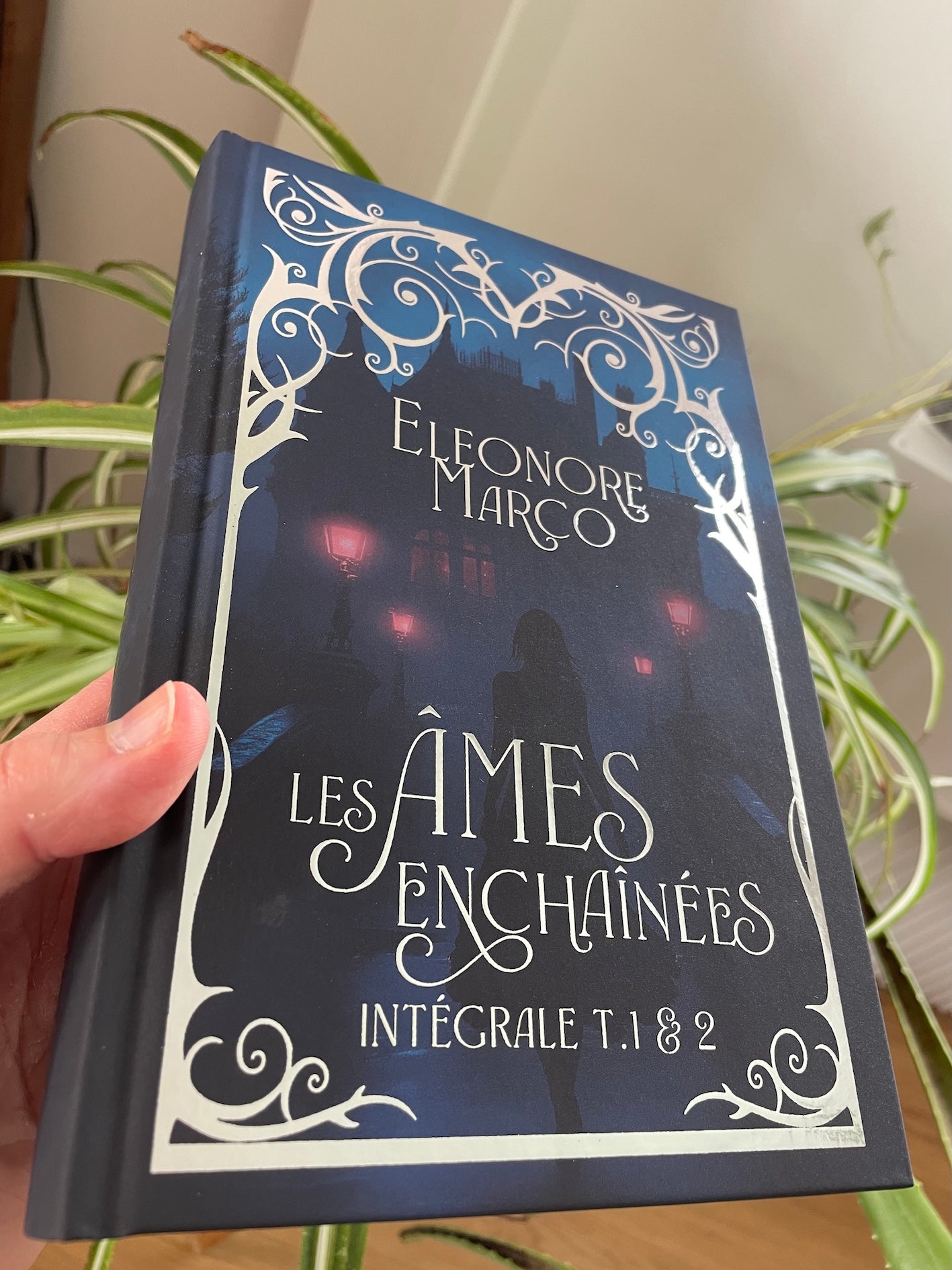 Les âmes enchaînées tomes 1 & 2 (édition reliée argentée et jaspée)