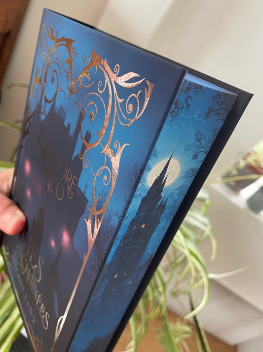 Les âmes enchaînées tomes 1 & 2 (édition reliée argentée et jaspée)