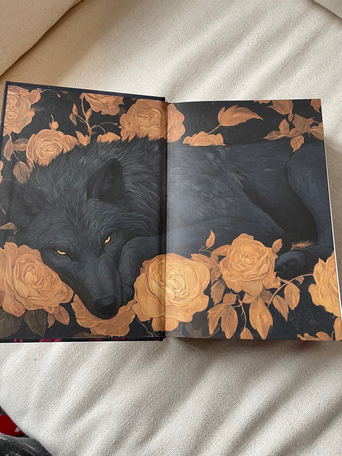 🌹 Les Roses d’Outremort : Intégrale Collector Volume 1 (3 romans en 1), DOS CARRÉ