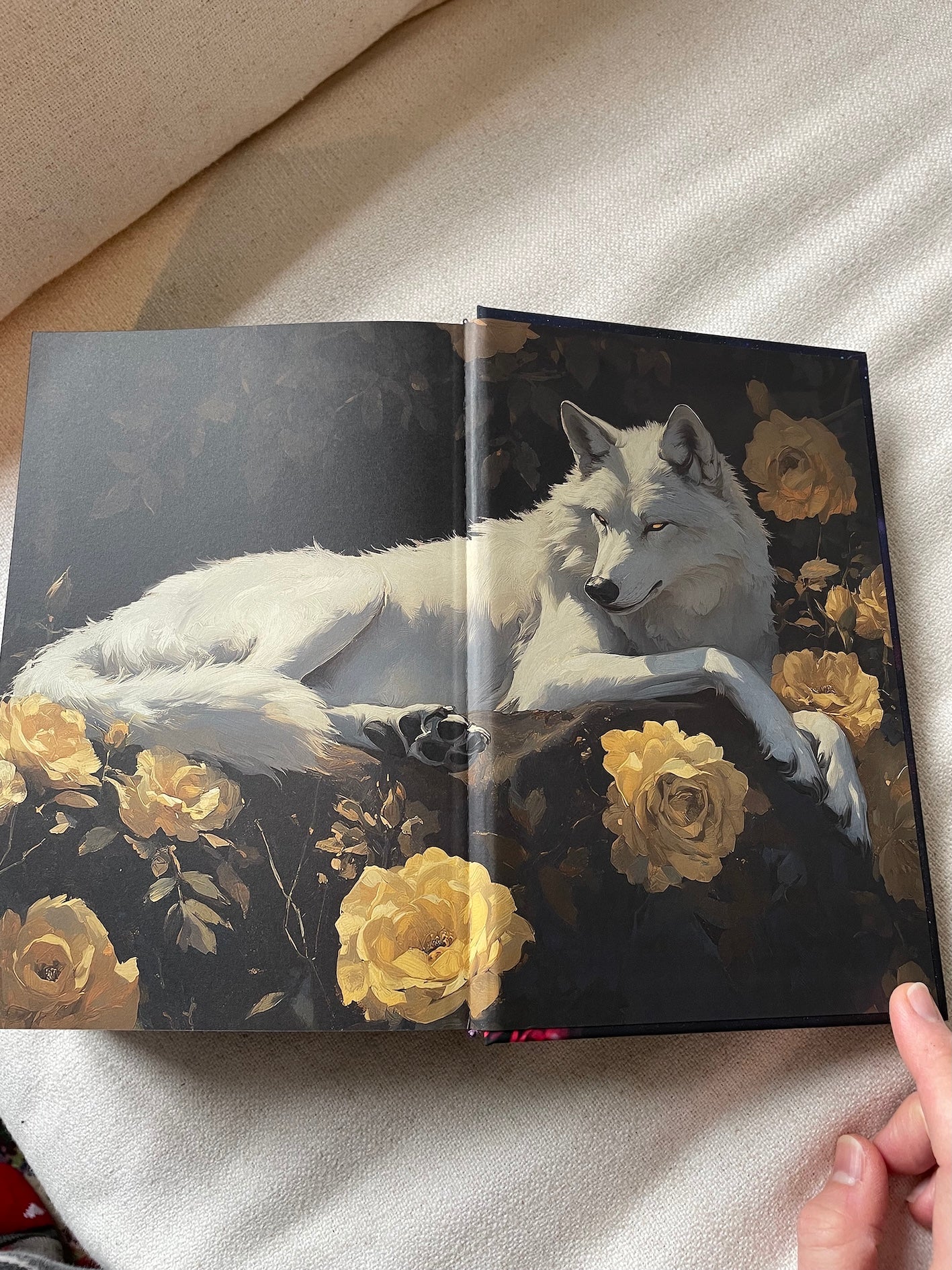 🌹 Les Roses d’Outremort : Intégrale Collector Volume 1 (3 romans en 1), DOS CARRÉ