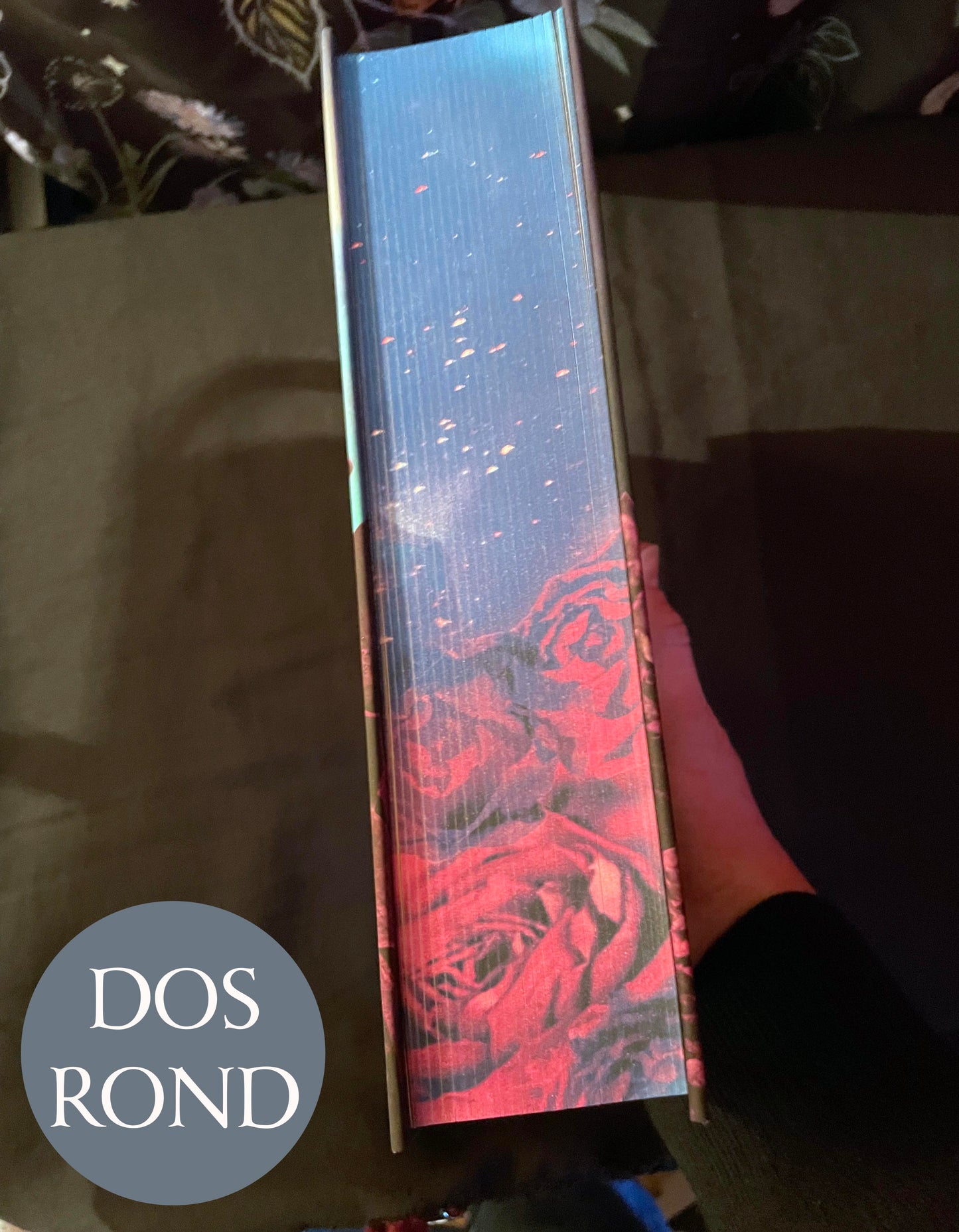 🌹 Les Roses d’Outremort : Intégrale Collector Volume 2 (fin de la série), DOS ROND